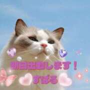 ヒメ日記 2025/12/09 12:03 投稿 すばる 熟女の風俗最終章 相模原店