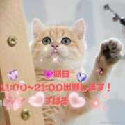 ヒメ日記 2025/12/23 11:50 投稿 すばる 熟女の風俗最終章 相模原店