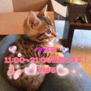 ヒメ日記 2026/01/14 08:00 投稿 すばる 熟女の風俗最終章 相模原店