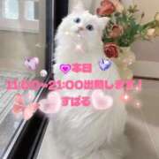 ヒメ日記 2026/01/28 08:00 投稿 すばる 熟女の風俗最終章 相模原店