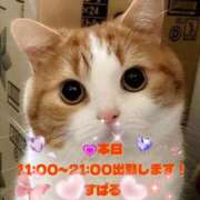 すばる ニューティシャツ！ 熟女の風俗最終章 相模原店