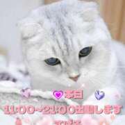 ヒメ日記 2026/02/25 08:00 投稿 すばる 熟女の風俗最終章 相模原店