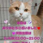 ヒメ日記 2026/02/25 21:50 投稿 すばる 熟女の風俗最終章 相模原店