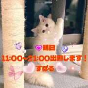 ヒメ日記 2026/03/10 13:30 投稿 すばる 熟女の風俗最終章 相模原店