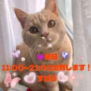 すばる ヨーグルト！ 熟女の風俗最終章 相模原店