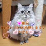 ヒメ日記 2026/04/14 13:20 投稿 すばる 熟女の風俗最終章 相模原店