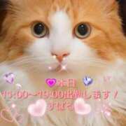 ヒメ日記 2026/04/15 08:21 投稿 すばる 熟女の風俗最終章 相模原店