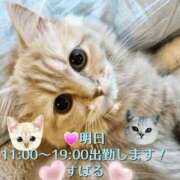 ヒメ日記 2026/06/09 12:20 投稿 すばる 熟女の風俗最終章 相模原店