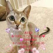 ヒメ日記 2026/06/17 19:50 投稿 すばる 熟女の風俗最終章 相模原店