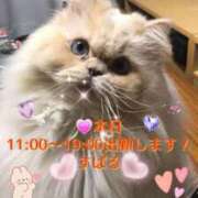 ヒメ日記 2026/07/08 08:40 投稿 すばる 熟女の風俗最終章 相模原店