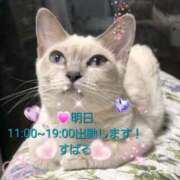 ヒメ日記 2026/07/14 12:10 投稿 すばる 熟女の風俗最終章 相模原店