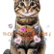 ヒメ日記 2024/12/17 12:03 投稿 すばる 熟女の風俗最終章 町田店