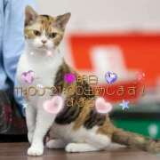 ヒメ日記 2024/12/24 12:21 投稿 すばる 熟女の風俗最終章 町田店