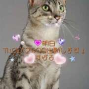 ヒメ日記 2025/01/07 11:46 投稿 すばる 熟女の風俗最終章 町田店