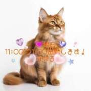 ヒメ日記 2025/01/21 11:51 投稿 すばる 熟女の風俗最終章 町田店