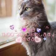 ヒメ日記 2025/01/22 08:21 投稿 すばる 熟女の風俗最終章 町田店