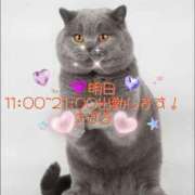 ヒメ日記 2025/01/28 12:01 投稿 すばる 熟女の風俗最終章 町田店