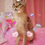 ヒメ日記 2025/02/05 20:35 投稿 すばる 熟女の風俗最終章 町田店