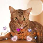 ヒメ日記 2025/02/11 12:02 投稿 すばる 熟女の風俗最終章 町田店