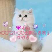 ヒメ日記 2025/02/26 08:01 投稿 すばる 熟女の風俗最終章 町田店