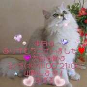 ヒメ日記 2025/02/26 20:31 投稿 すばる 熟女の風俗最終章 町田店