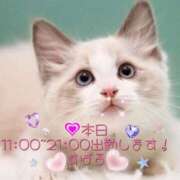 ヒメ日記 2025/03/05 08:01 投稿 すばる 熟女の風俗最終章 町田店