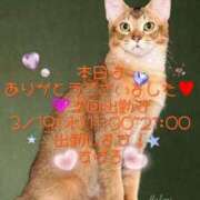 ヒメ日記 2025/03/12 20:52 投稿 すばる 熟女の風俗最終章 町田店