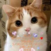 ヒメ日記 2025/03/19 20:31 投稿 すばる 熟女の風俗最終章 町田店