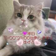 ヒメ日記 2025/04/02 08:11 投稿 すばる 熟女の風俗最終章 町田店