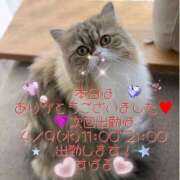 ヒメ日記 2025/04/02 20:55 投稿 すばる 熟女の風俗最終章 町田店