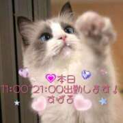 ヒメ日記 2025/04/09 08:21 投稿 すばる 熟女の風俗最終章 町田店