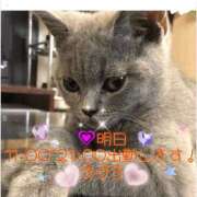 ヒメ日記 2025/04/15 11:52 投稿 すばる 熟女の風俗最終章 町田店