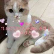 ヒメ日記 2025/04/16 08:11 投稿 すばる 熟女の風俗最終章 町田店