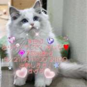 ヒメ日記 2025/05/14 21:30 投稿 すばる 熟女の風俗最終章 町田店