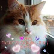 ヒメ日記 2025/06/11 08:07 投稿 すばる 熟女の風俗最終章 町田店