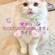 ヒメ日記 2025/06/18 08:20 投稿 すばる 熟女の風俗最終章 町田店