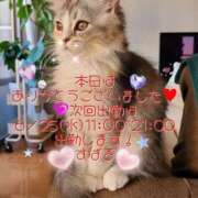 ヒメ日記 2025/06/18 21:48 投稿 すばる 熟女の風俗最終章 町田店