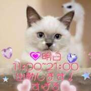 ヒメ日記 2025/07/01 12:00 投稿 すばる 熟女の風俗最終章 町田店