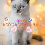 ヒメ日記 2025/07/02 08:20 投稿 すばる 熟女の風俗最終章 町田店