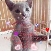 ヒメ日記 2025/07/02 20:57 投稿 すばる 熟女の風俗最終章 町田店