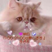 ヒメ日記 2025/07/08 11:53 投稿 すばる 熟女の風俗最終章 町田店