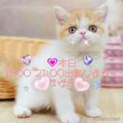 ヒメ日記 2025/07/09 08:19 投稿 すばる 熟女の風俗最終章 町田店