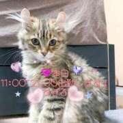 ヒメ日記 2025/07/23 08:20 投稿 すばる 熟女の風俗最終章 町田店