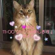 ヒメ日記 2025/08/05 12:01 投稿 すばる 熟女の風俗最終章 町田店