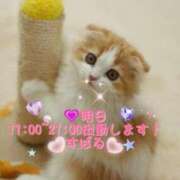 ヒメ日記 2025/08/12 11:51 投稿 すばる 熟女の風俗最終章 町田店