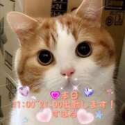 ヒメ日記 2025/08/13 08:00 投稿 すばる 熟女の風俗最終章 町田店