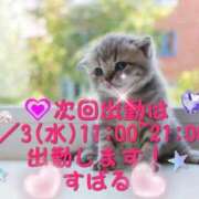 ヒメ日記 2025/08/26 12:20 投稿 すばる 熟女の風俗最終章 町田店