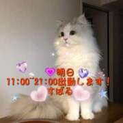 ヒメ日記 2025/09/09 11:50 投稿 すばる 熟女の風俗最終章 町田店