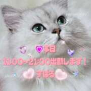 ヒメ日記 2025/09/24 08:20 投稿 すばる 熟女の風俗最終章 町田店