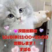 ヒメ日記 2025/10/01 10:00 投稿 すばる 熟女の風俗最終章 町田店